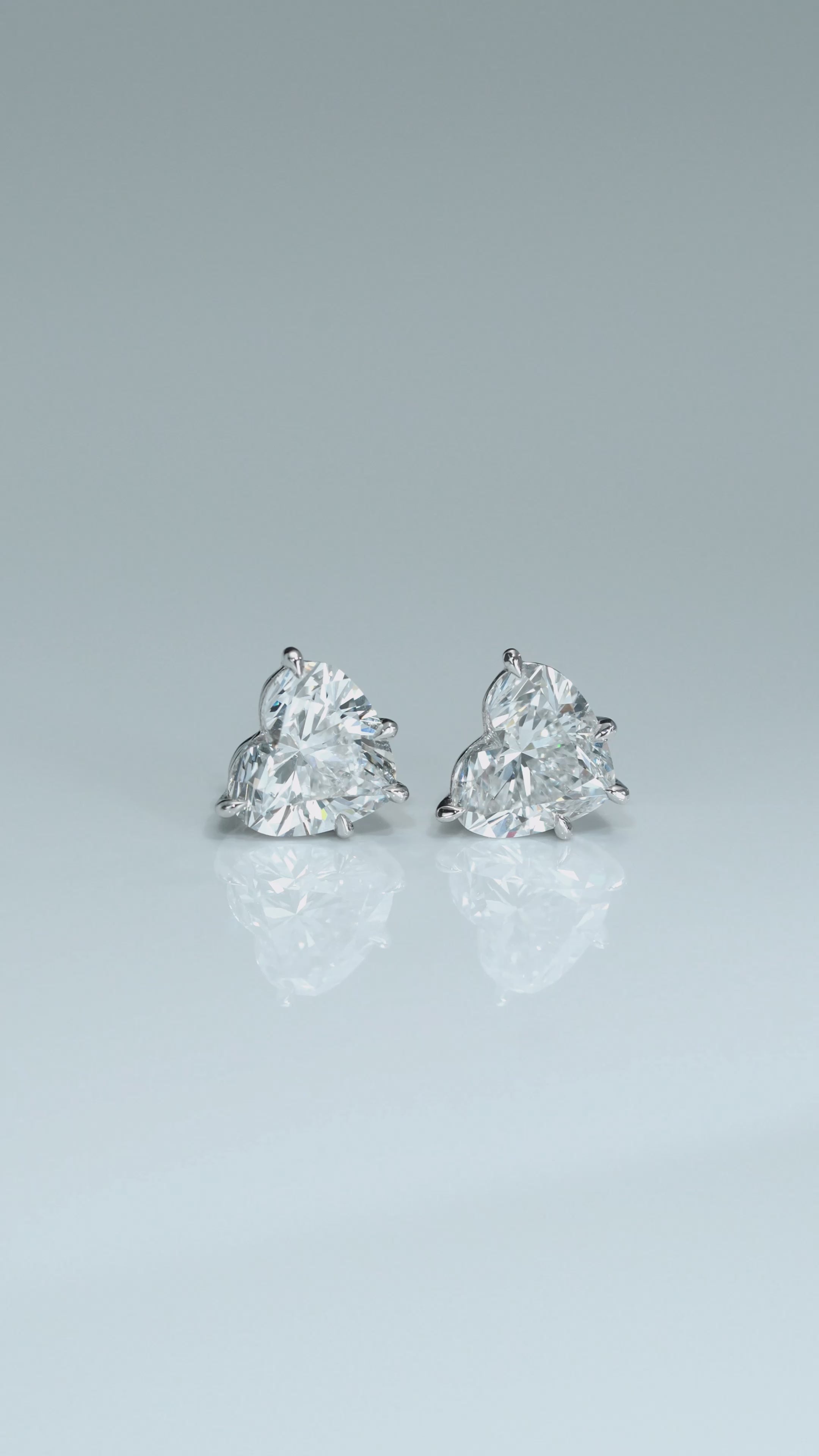 Shining Heart - Shaped Earrings